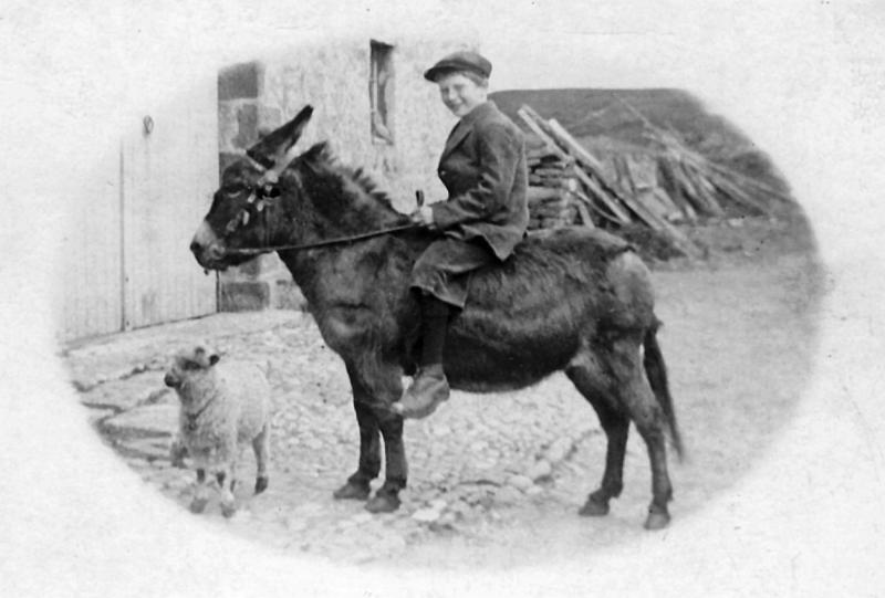 Boy on Horse.JPG - William Henry Mellin ( Roberts father ). Died in 1956 at age 43.